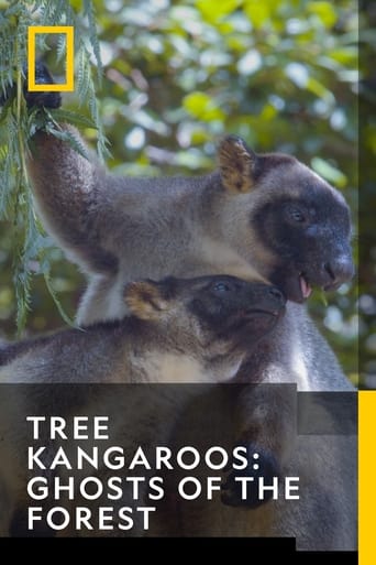 Tree Kangaroos: Ghosts of the Forest