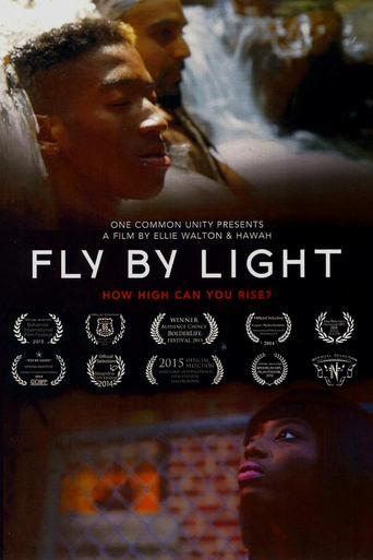 Fly by Light