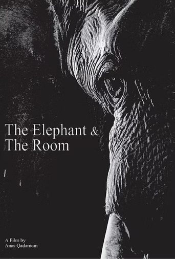 The Elephant & the Room