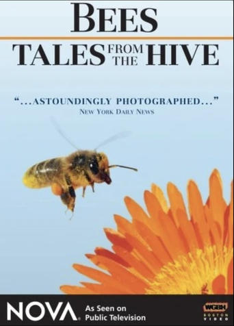 Bees - Tales from the Hive