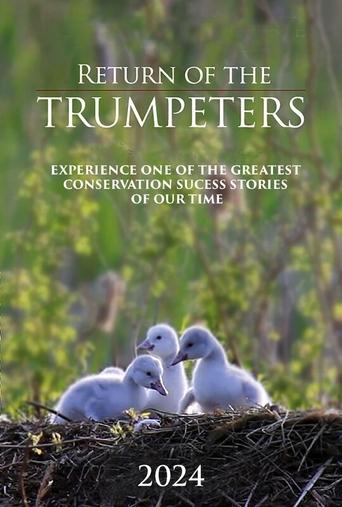 Return of the Trumpeters