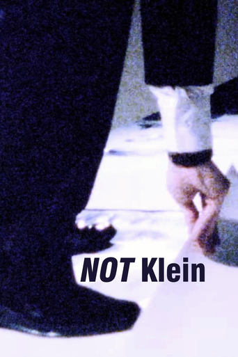 Mike Bidlo: NOT Klein