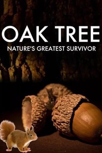 Oak Tree: Nature's Greatest Survivor