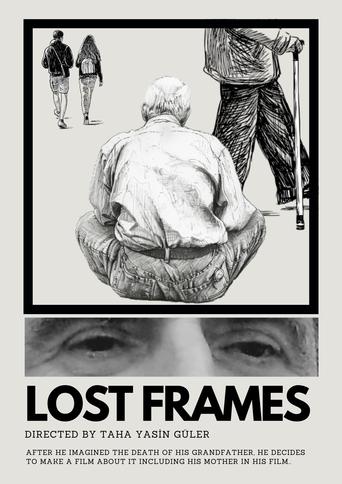 Lost Frames