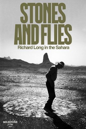 Stones and Flies: Richard Long in the Sahara