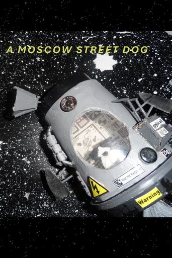 A Moscow Street Dog